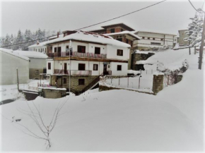 Hotel Acropolis Metsovo Métsovon